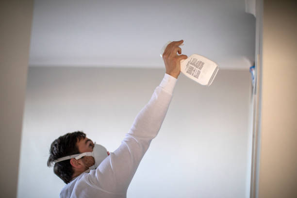 Best Toxic Mold Removal  in Youngwood, PA
