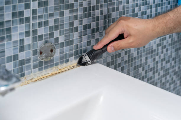 Best Attic Mold Removal  in Youngwood, PA