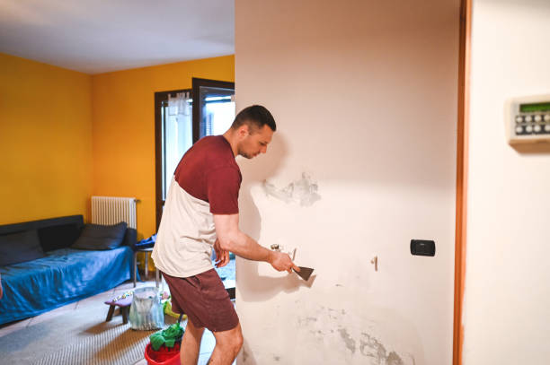 Best Commercial Mold Removal  in Youngwood, PA